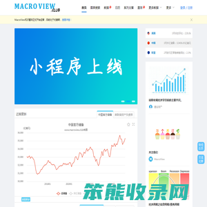 MacroView