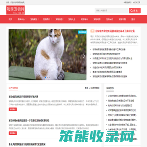 中宠网
