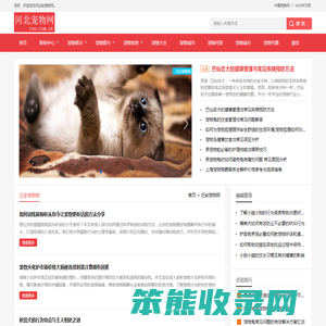 中宠网
