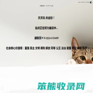 天天玩