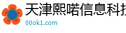 天津熙喏信息科技有限公司