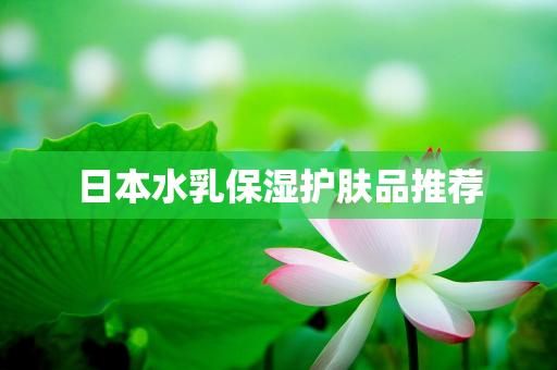 小达网