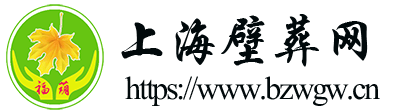 上海壁葬网