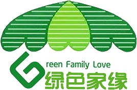 重庆除甲醛