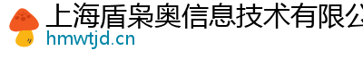 上海盾枭奥信息技术有限公司