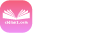 词典查字