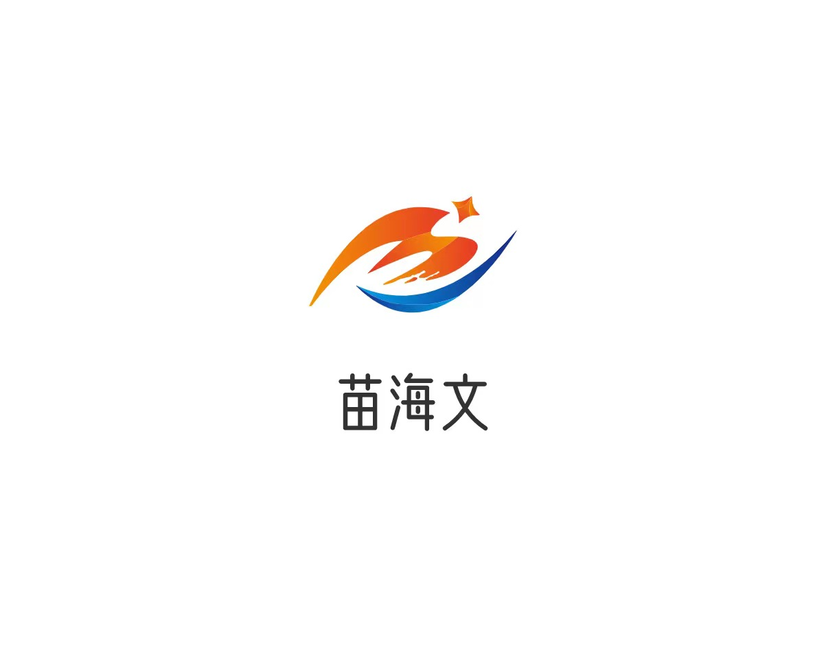苗海文网络