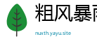 粗风暴雨网