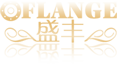 盛丰法兰