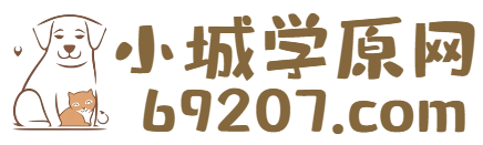 小城歌谱网