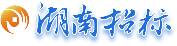 湖南省招标公司智慧阳光采购平台建设项目