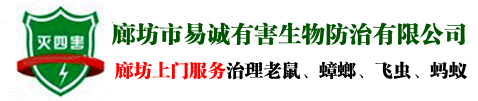 廊坊消杀公司