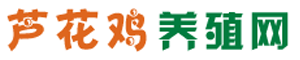 芦花鸡