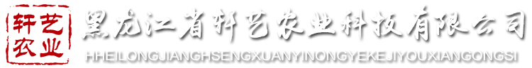 哈尔滨六十年代