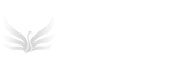 志成信息