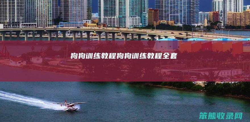 狗狗训练教程 狗狗训练教程全套