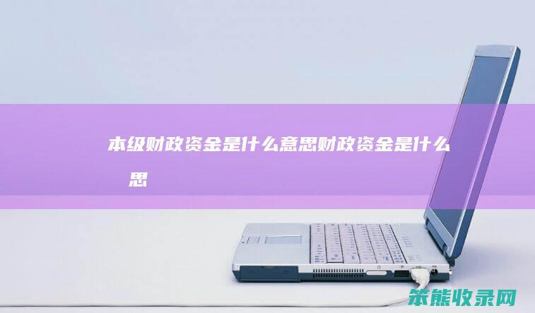 本级财政资金是什么意思 财政资金是什么意思