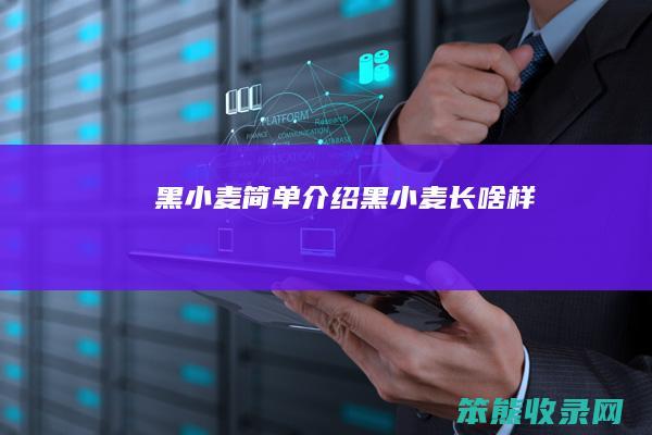 黑小麦简单介绍 黑小麦长啥样