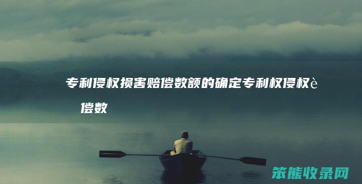 专利侵权损害赔偿数额的确定（专利权侵权赔偿数额的确定）