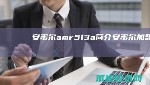 安蜜尔amr513a简介（安蜜尔加盟）
