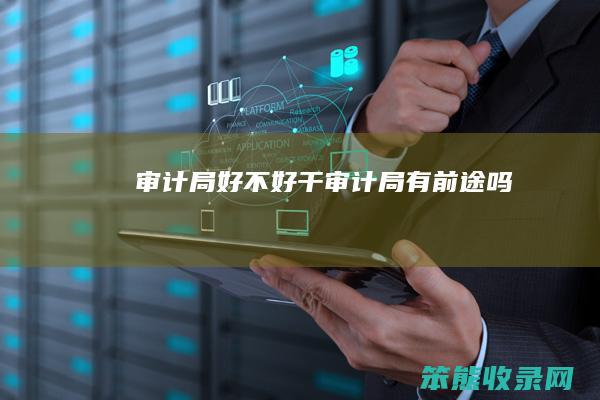 审计局好不好干（审计局有前途吗）