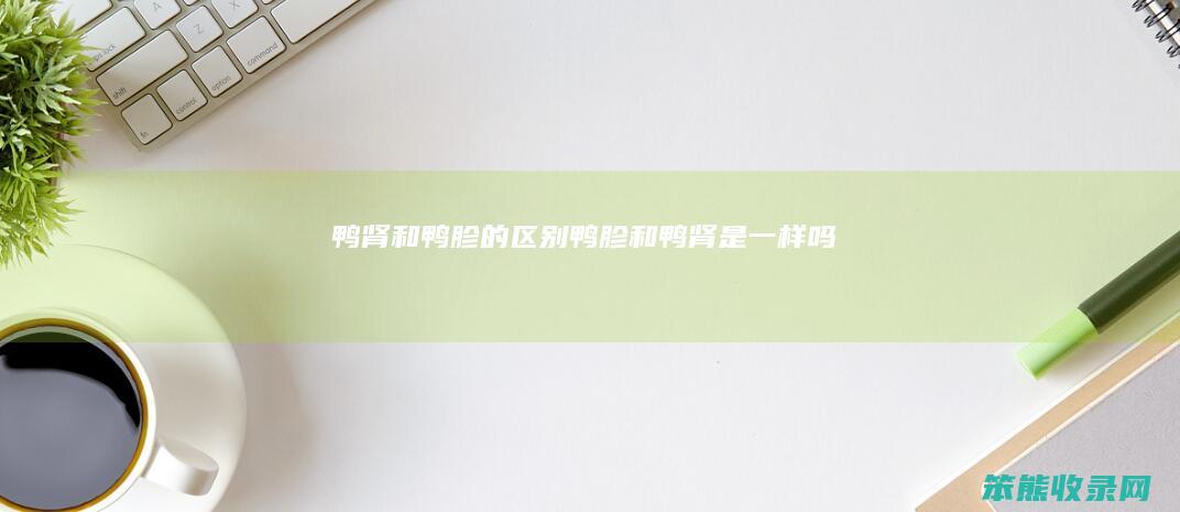 鸭肾和鸭胗的区别（鸭胗和鸭肾是一样吗）