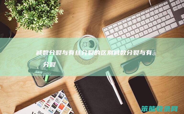 减数分裂与有丝分裂的区别（减数分裂与有丝分裂的区别）