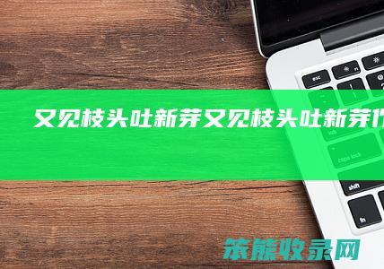 又见枝头吐新芽（又见枝头吐新芽作文500字）