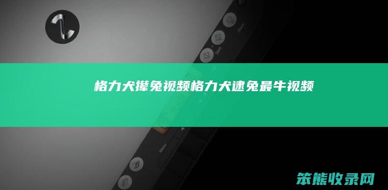 格力犬撵兔视频（格力犬逮兔最牛视频）