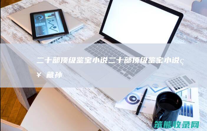 二十部顶级鉴宝小说（二十部顶级鉴宝小说神藏孙易深山寻宝记）