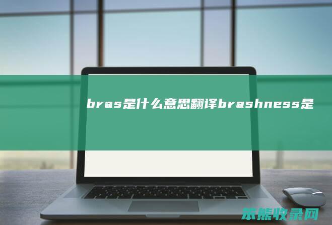 bras是什么意思翻译（brashness是什么意思）