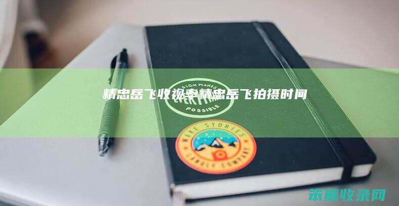精忠岳飞收视率（精忠岳飞拍摄时间）