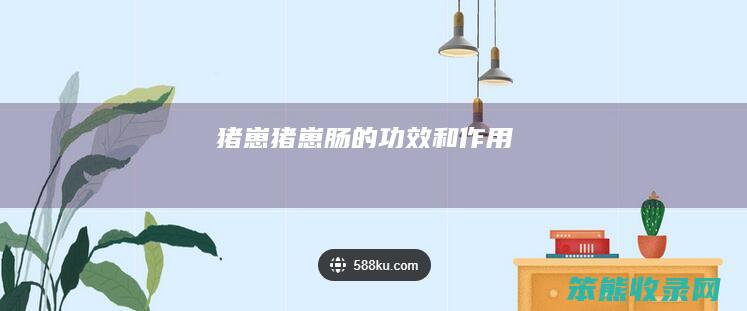 猪崽（猪崽肠的功效和作用）