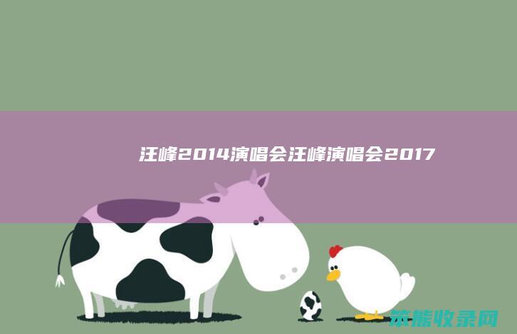 汪峰2014演唱会（汪峰演唱会2017）