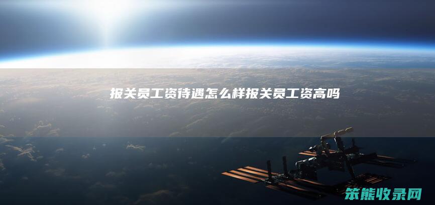 报关员工资待遇怎么样（报关员工资高吗）