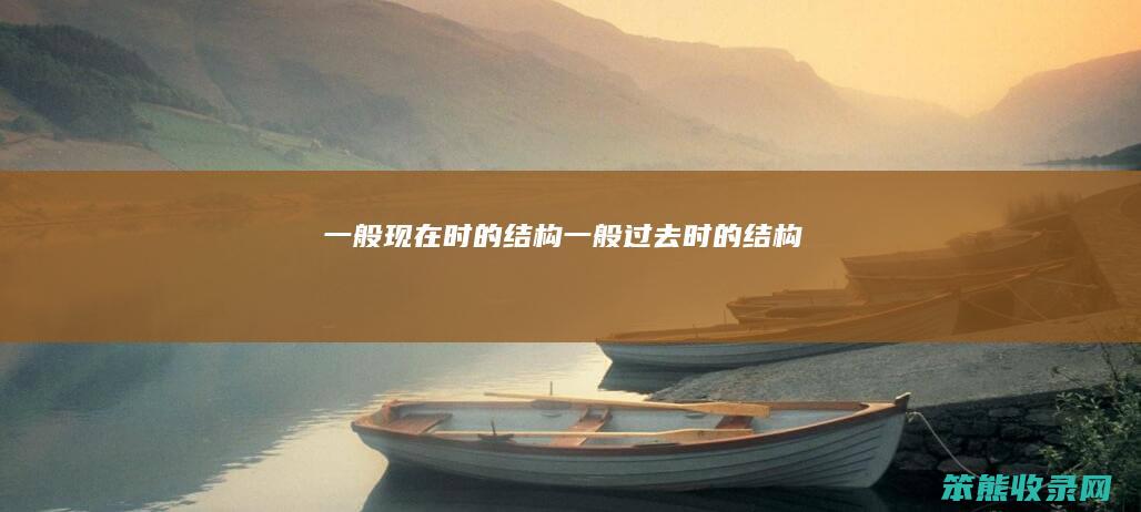 一般现在时的结构（一般过去时的结构）
