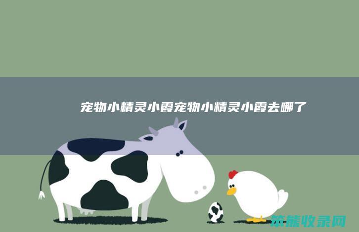 宠物小精灵小霞（宠物小精灵小霞去哪了）