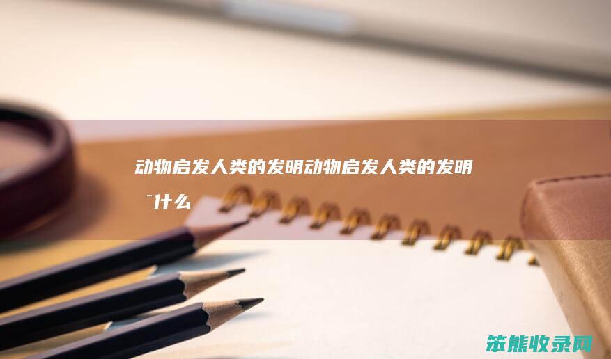 动物启发人类的发明（动物启发人类的发明是什么）