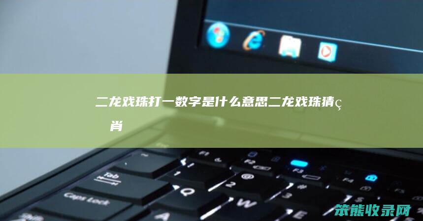 二龙戏珠打一数字是什么意思（二龙戏珠猜生肖）
