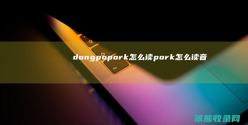 dongpopork怎么读（pork怎么读音）