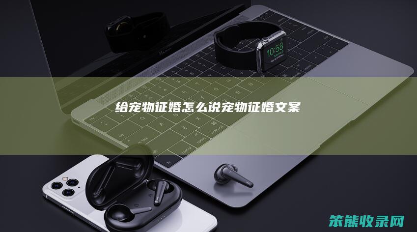 给宠物征婚怎么说（宠物征婚文案）