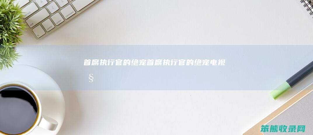 首席执行官的绝宠（首席执行官的绝宠电视剧）