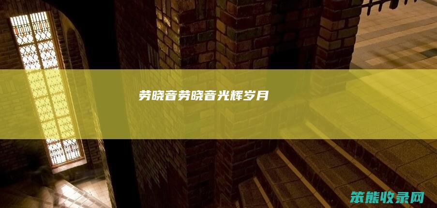 劳晓音（劳晓音光辉岁月）