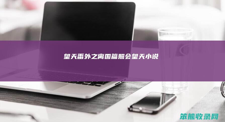 望天番外之离国篇照会（望天小说）