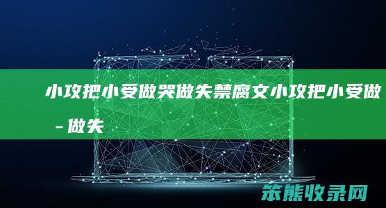 小攻把小受做哭做失禁腐文（小攻把小受做哭做失禁腐文）