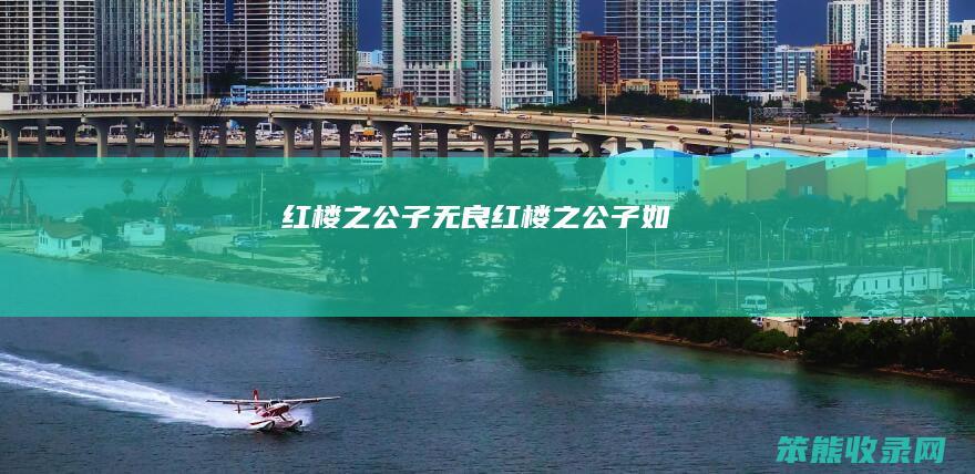 红楼之公子无良（红楼之公子如）