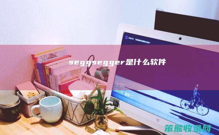 segg（segger是什么软件）