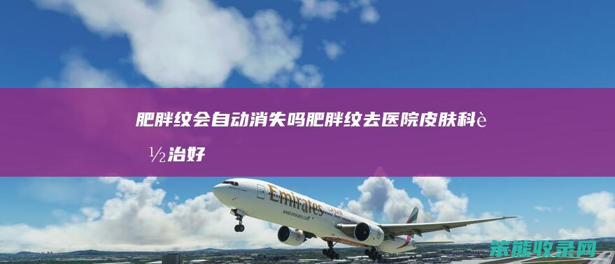 肥胖纹会自动消失吗（肥胖纹去医院皮肤科能治好吗）