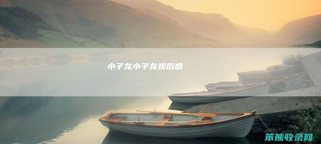 小子龙（小子龙观后感）