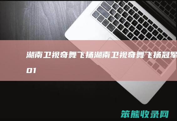 湖南卫视奇舞飞扬（湖南卫视奇舞飞扬冠军2013）